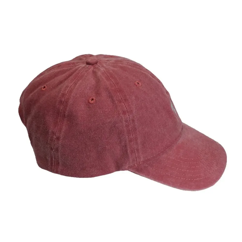 True Religion Snapback Adjustable Horseshoe Logo Faded Hat Cap